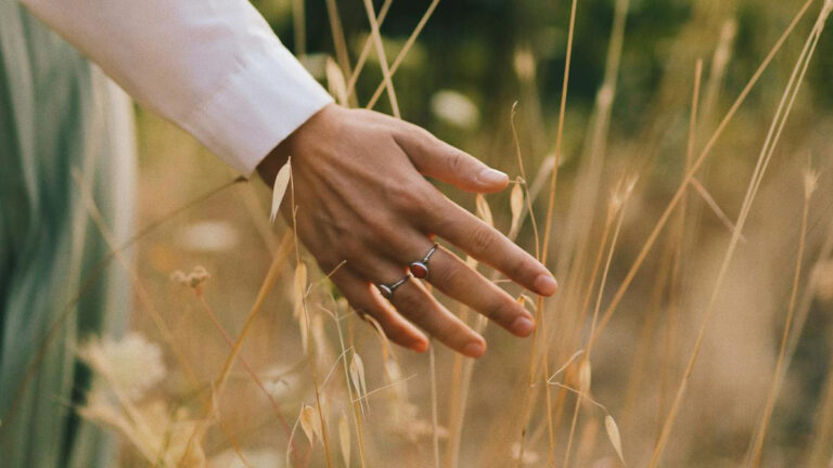 dotik travnatih bilk